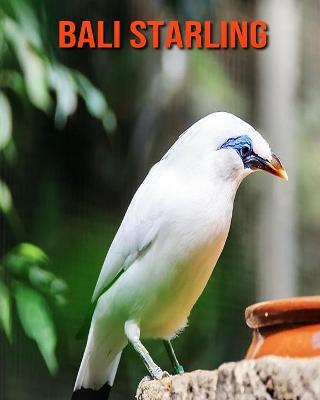 Book cover for Bali Starling