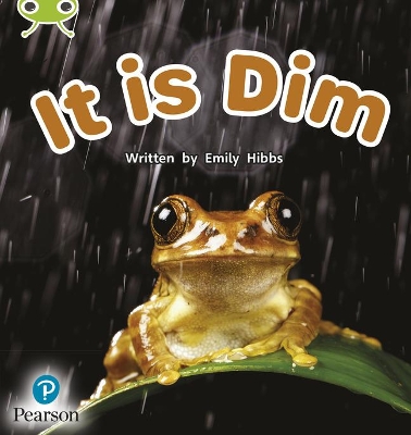 Book cover for Bug Club Phonics - Phase 2 Unit 1-2: It is Dim