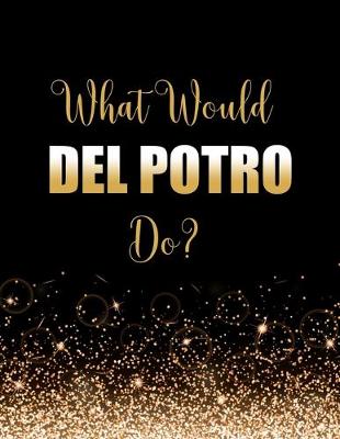 Book cover for What Would Del Potro Do?