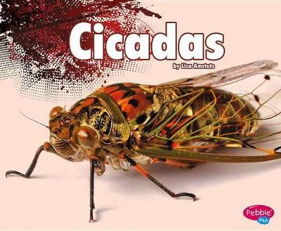 Book cover for Cicadas