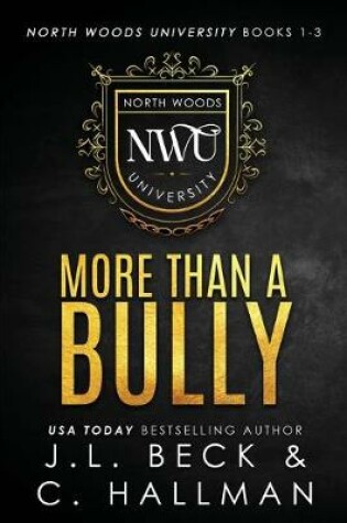 Cover of More Than A Bully