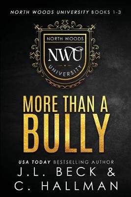 Book cover for More Than A Bully