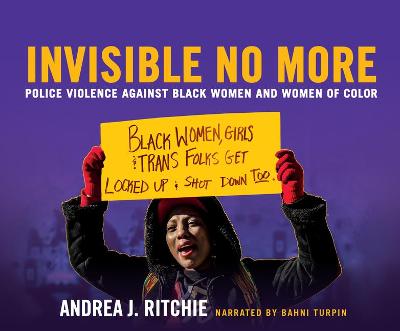 Book cover for Invisible No More