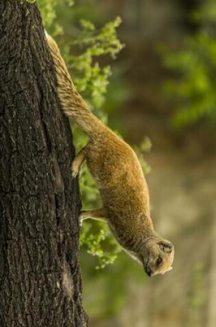 Cover of Yellow Mongoose on a Log, for the Love of Animals