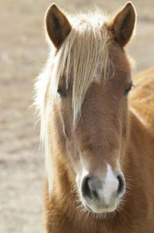 Cover of Wild Horse Portrait Journal