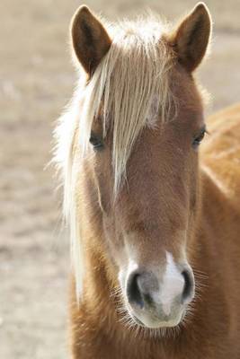 Book cover for Wild Horse Portrait Journal