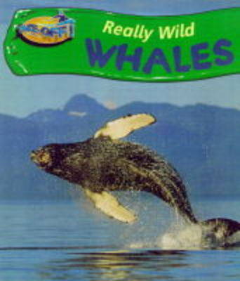 Cover of Take-Off: Really Wild Whale Paperback