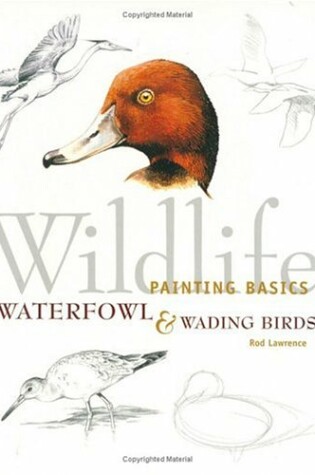 Cover of Waterfowl and Wading Birds