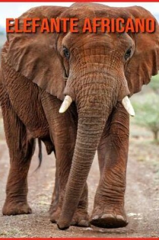Cover of Elefante Africano