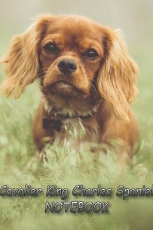 Cover of Cavalier King Charles Spaniel NOTEBOOK