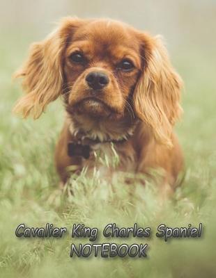 Cover of Cavalier King Charles Spaniel NOTEBOOK