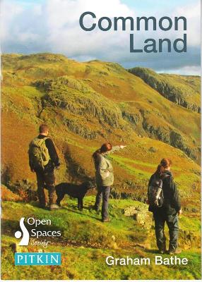 Book cover for Common Land