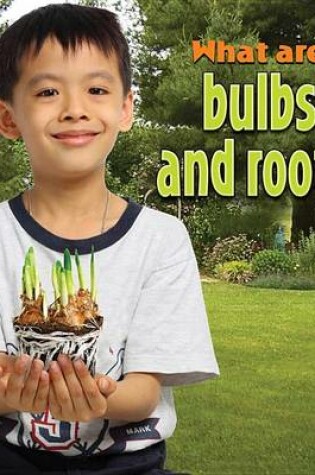 Cover of What are bulbs and roots?