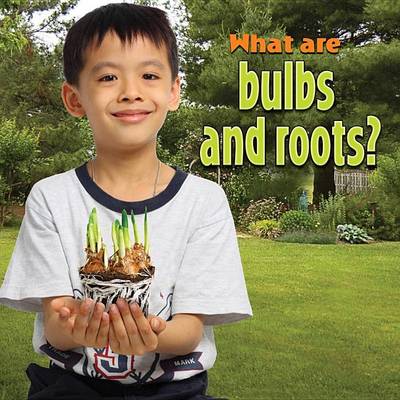 Book cover for What are bulbs and roots?