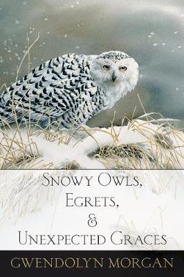 Cover of Snowy Owls, Egrets, and Unexpected Graces