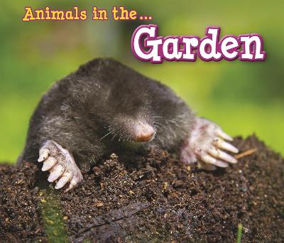 Book cover for Animals in the Garden