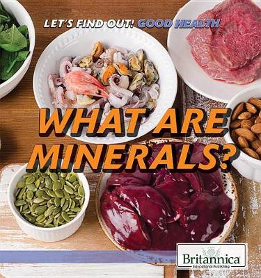 Book cover for What Are Minerals?