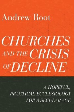 Cover of Churches and the Crisis of Decline