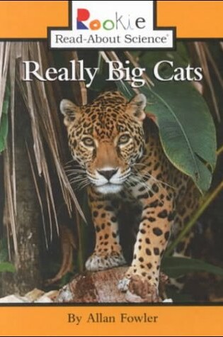 Cover of Really Big Cats