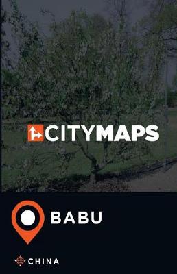 Book cover for City Maps Babu China