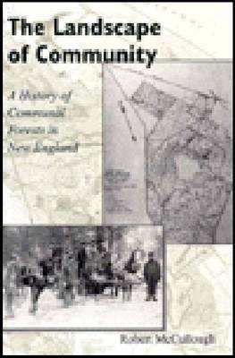 Book cover for The Landscape of Community