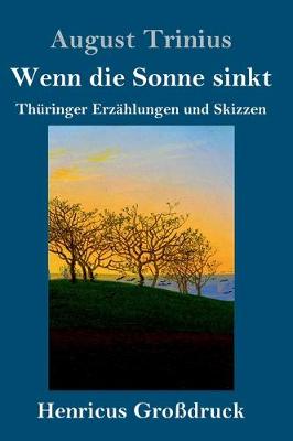 Book cover for Wenn die Sonne sinkt (Großdruck)