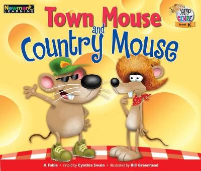 Book cover for Town Mouse and Country Mouse Leveled Text