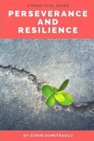 Cover of Perseverance and Resilience