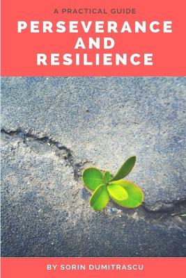 Book cover for Perseverance and Resilience