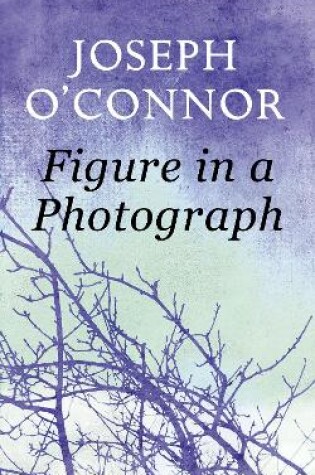 Cover of Figure in a Photograph: A Short Story from 'Where Have You Been?'