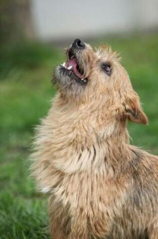 Cover of A Norwich Terrier Looking Up Dog Journal