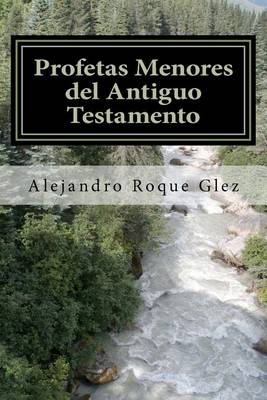 Book cover for Profetas Menores del Antiguo Testamento