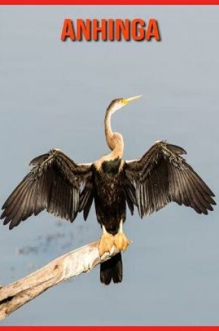 Cover of Anhinga