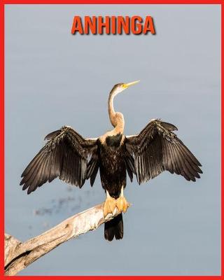 Book cover for Anhinga