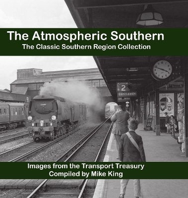 Book cover for The Atmospheric Southern