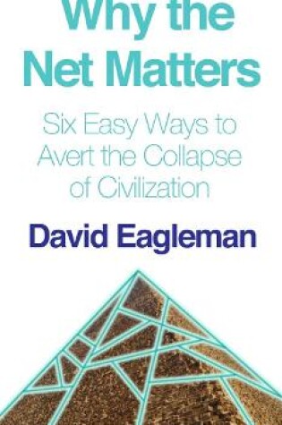 Cover of Why the Net Matters
