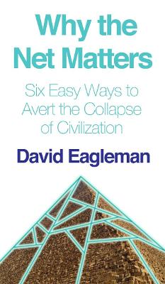Book cover for Why the Net Matters