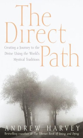 Book cover for The Direct Path