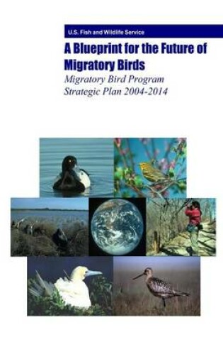 Cover of A Blueprint for the Future of Migratory Birds