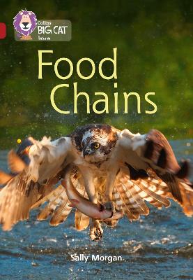 Book cover for Food Chains