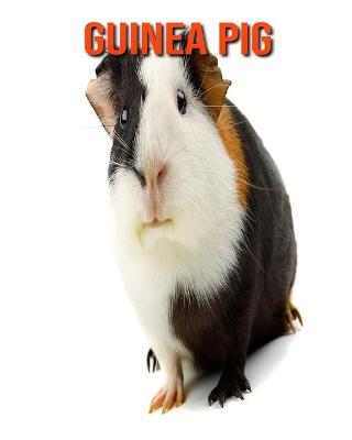 Book cover for Guinea Pig