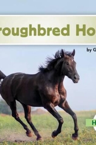 Cover of Thoroughbred Horses