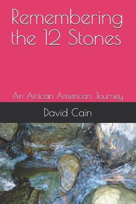 Book cover for Remembering the 12 Stones