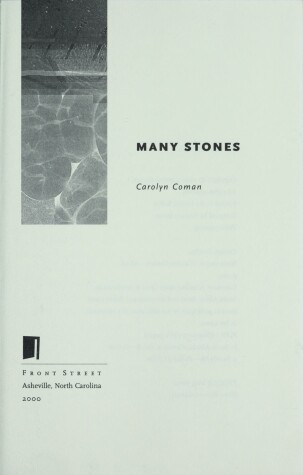 Book cover for Many Stones