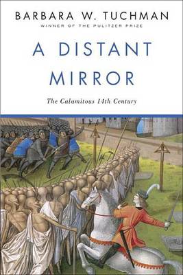Book cover for Distant Mirror