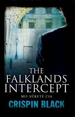 Book cover for The Falklands Intercept