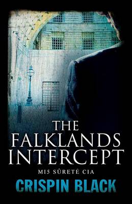 Book cover for The Falklands Intercept