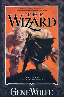 Book cover for The Wizard