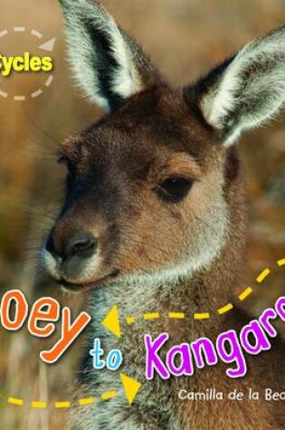 Cover of Life Cycle Joey to Kangaroo