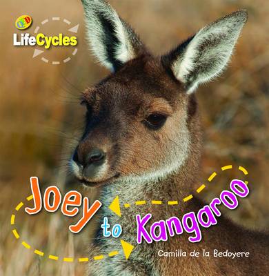 Book cover for Life Cycle Joey to Kangaroo